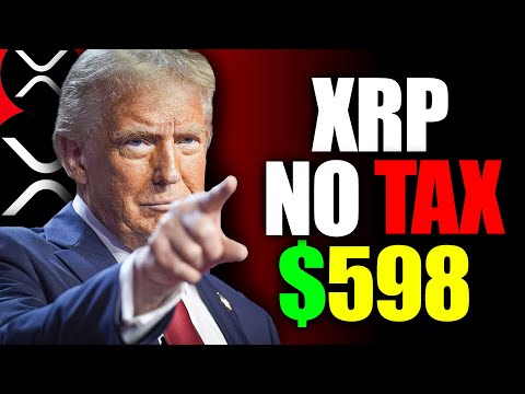 XRP Is Taking Over! Here&#039;s What You Need to Know Now!