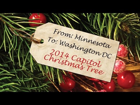 From Minnesota to Washington D.C. The 2014 U.S. Capitol Christmas Tree | Full Documentary