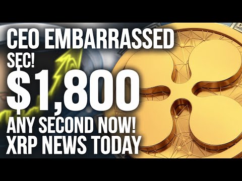 XRP Ripple News Today: CEO EMBARRASSED by SEC, $1,800 Imminent!