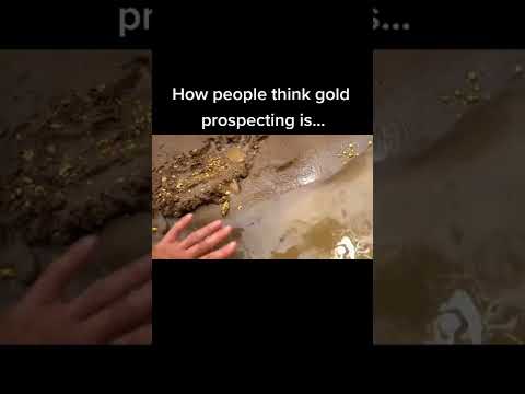 What you think &quot;fake&quot; vs how it is... #goldprospecting #goldpanning #goldnuggets #goldrush #viral