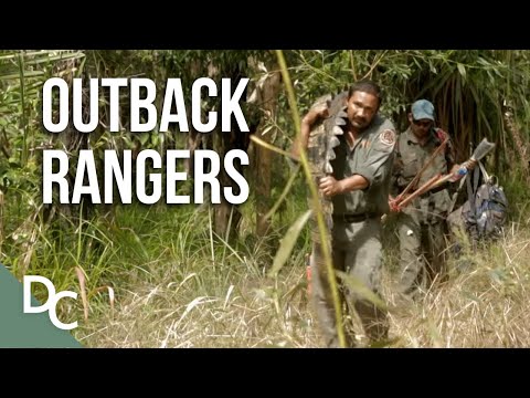 Will The Rangers Hunt Down This Killer Crock In Time? | Outback Rangers | Ep 2 | Documentary Central