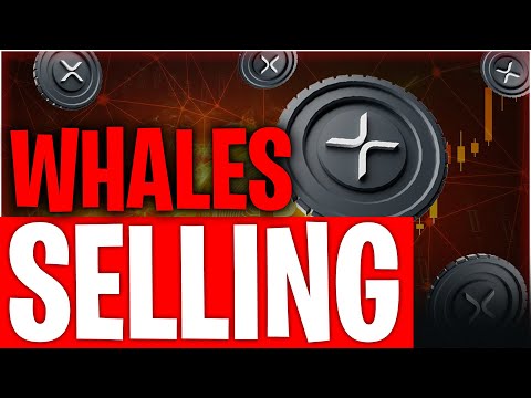 Ripple XRP: The WHALES ARE SELLING!